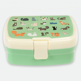 Lunch box enfant avec plateau et motif chats, idéale pour organiser le repas avec plusieurs compartiments colorés.