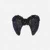 Ailes noires de Nyx