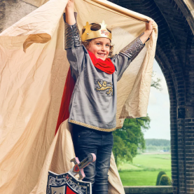 Déguisement Roi Henry