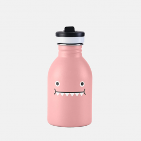 Gourde rose dinosaure pour enfant maternelle et primaire avec paille intégrée