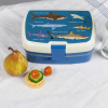 Lunch Box avec plateau - Requins