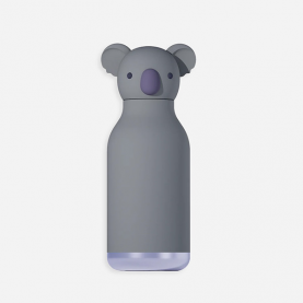 Gourde en acier inoxydable Koala