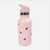 Gourde en acier inoxydable Rose Coccinelles
