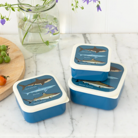 Set de 3 boîtes à gouter  - Requins